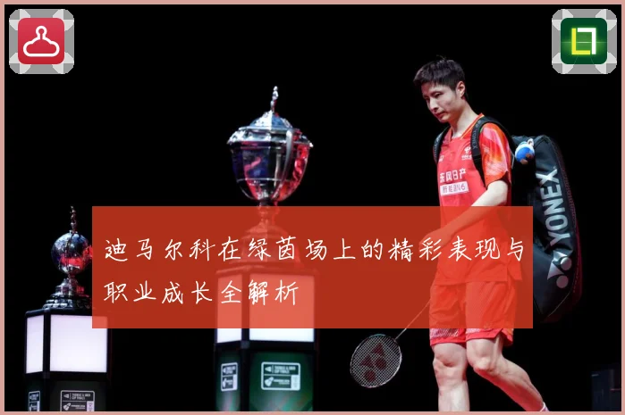 迪马尔科在绿茵场上的精彩表现与职业成长全解析