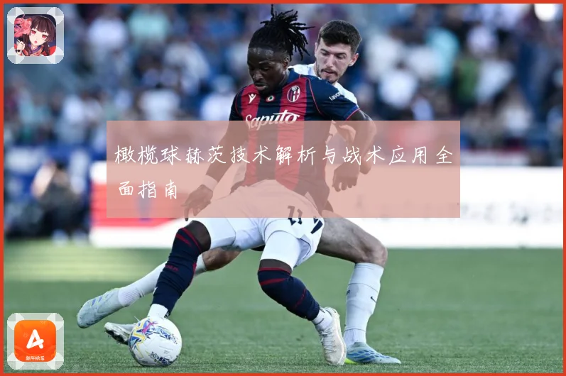橄榄球赫茨技术解析与战术应用全面指南