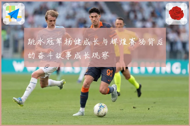 跳水冠军杨健成长与辉煌赛场背后的奋斗故事成长观察