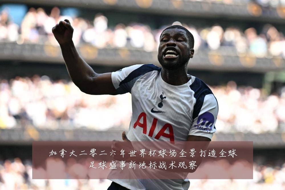 加拿大二零二六年世界杯球场全景打造全球足球盛事新地标战术观察