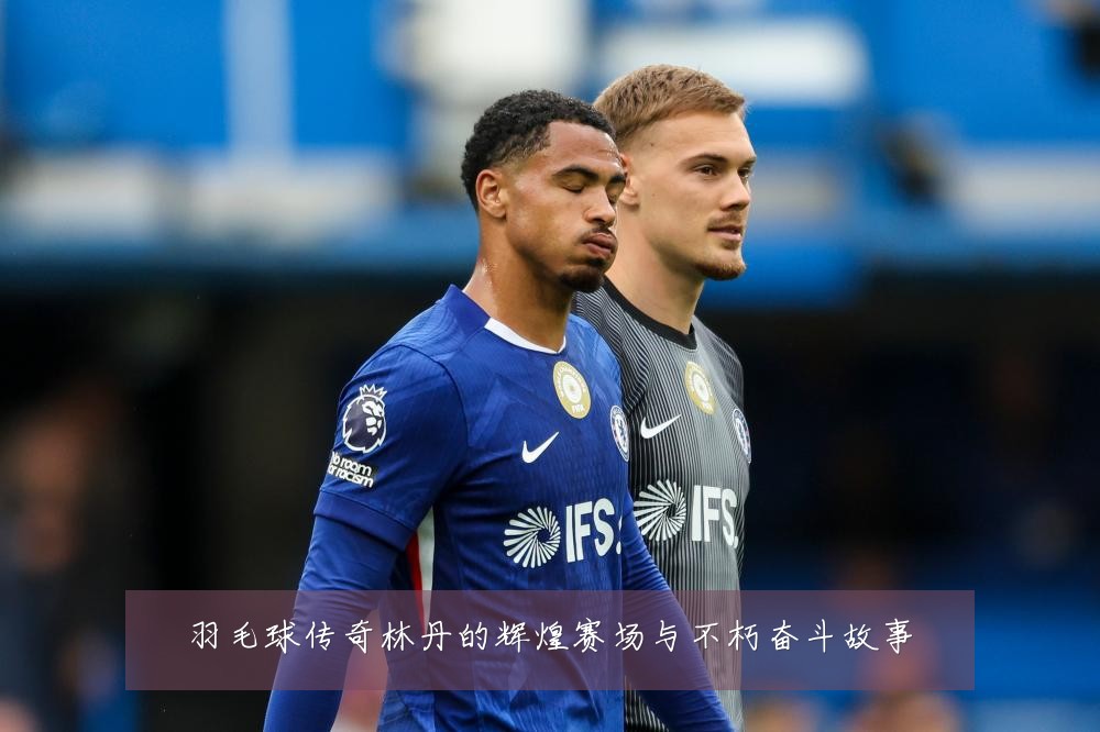 羽毛球传奇林丹的辉煌赛场与不朽奋斗故事